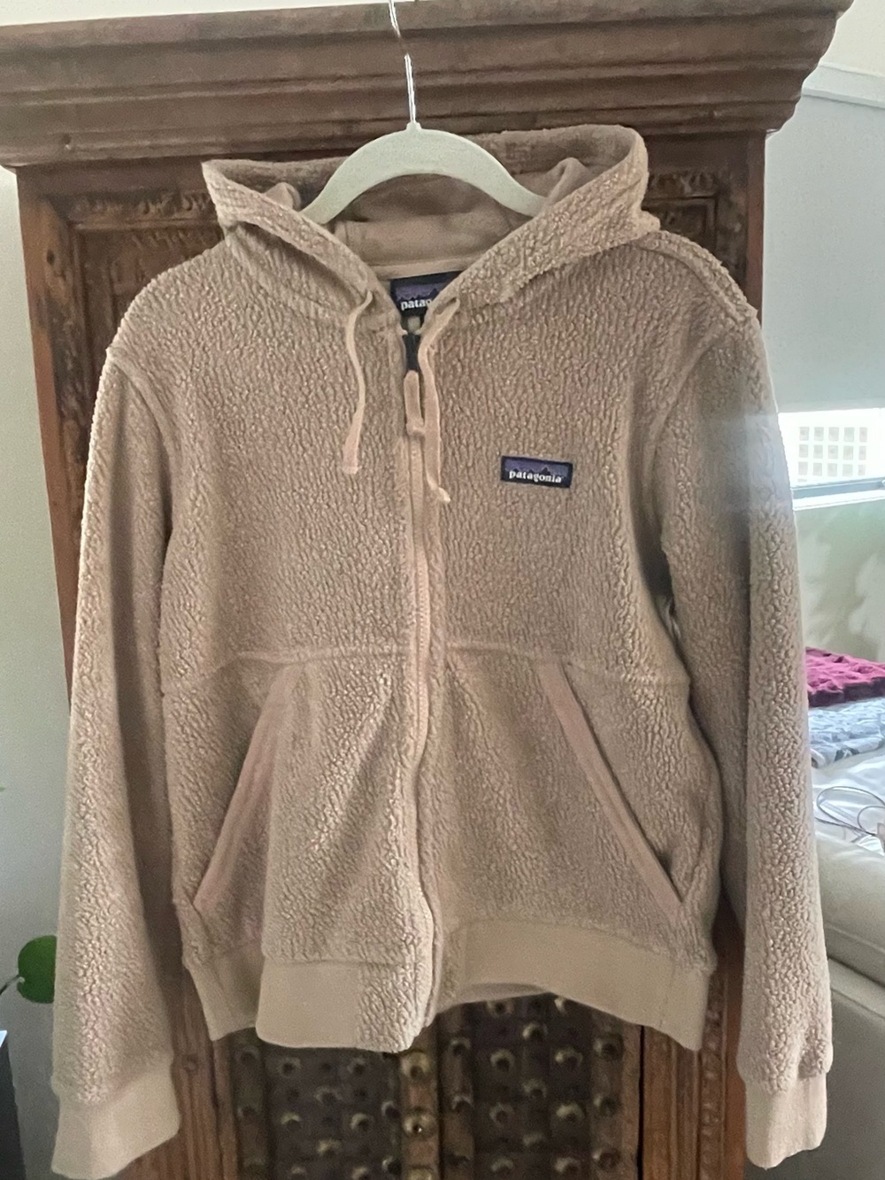 Patagonia Hoodie